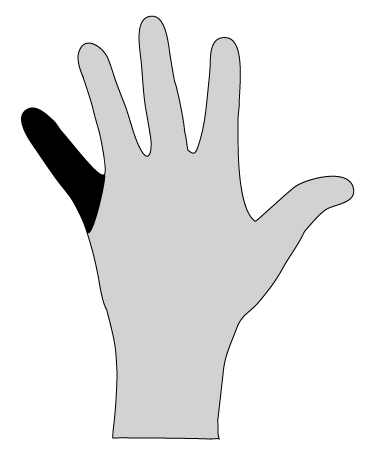 File:Hand 5.png