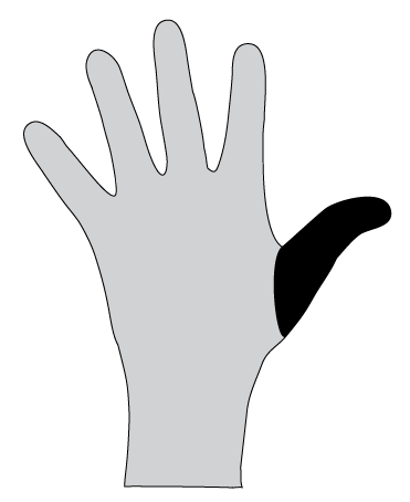 File:Hand 1.png