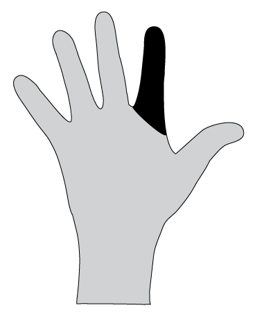 File:Hand 2.png