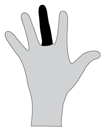 File:Hand 3.png