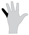 Thumbnail for version as of 13:35, 29 July 2015