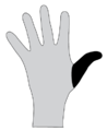 Thumbnail for version as of 13:16, 29 July 2015