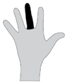 Thumbnail for version as of 13:25, 29 July 2015