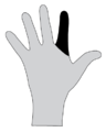Thumbnail for version as of 13:24, 29 July 2015