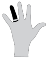 Thumbnail for version as of 13:34, 29 July 2015